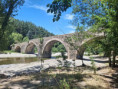/album/14-juin-2026-mialet/l-134-a-jpg/